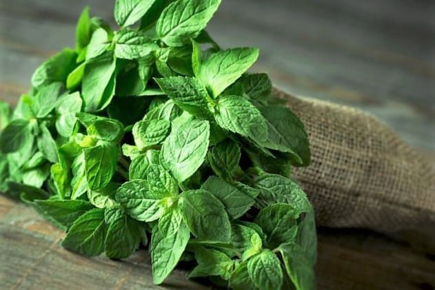 6 alimentos que le harán crecer el cabello natural más rápido