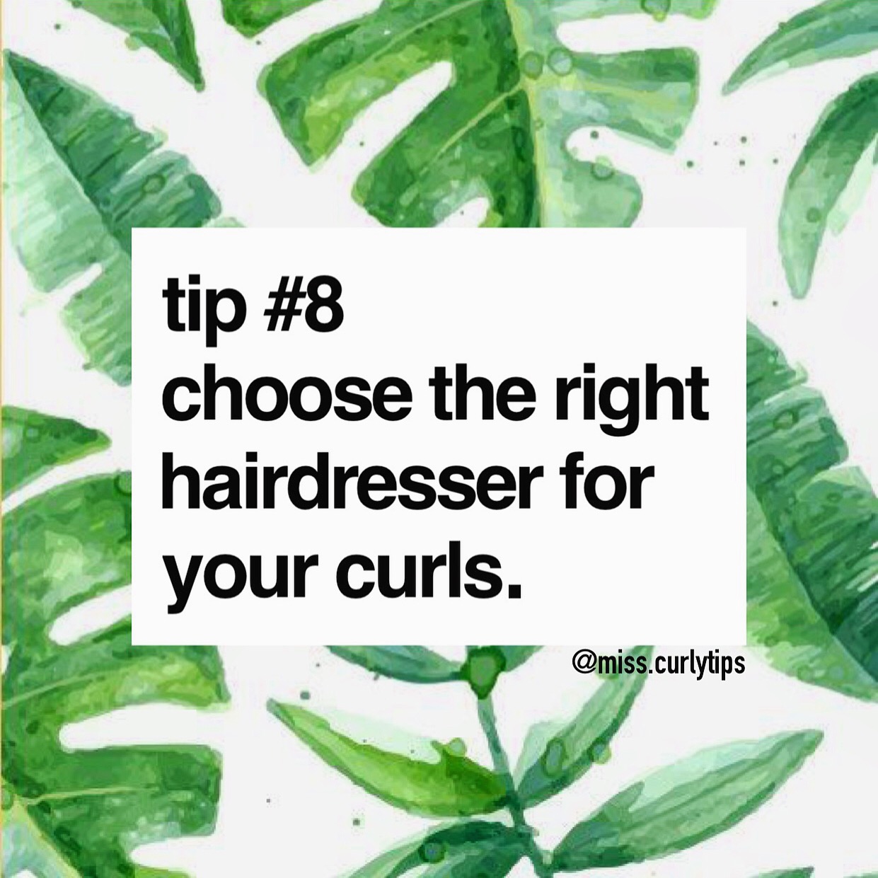 TIP # 8 - CHOOSE THE RIGHT HAIRDRESSER FOR YOUR SNAILS