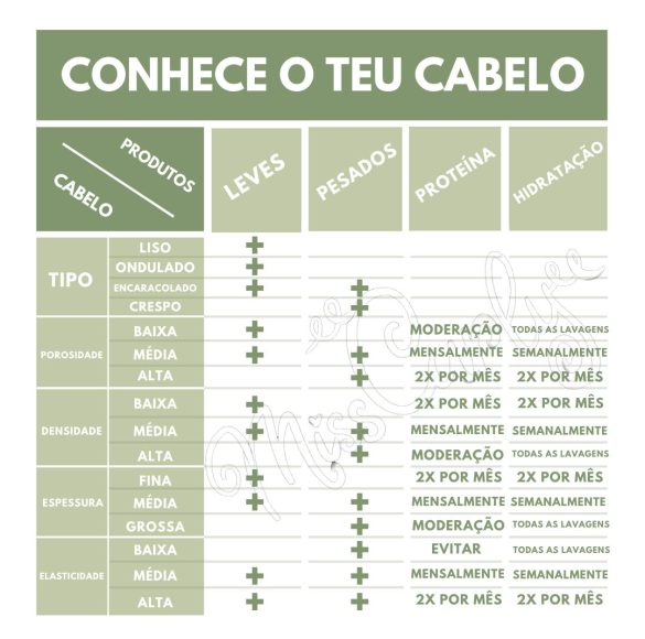 Conoce tus cabellos