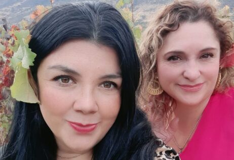 Jabones y shampoos de vino tinto: En Colchagua se hace vinoterapia con orujo de uva