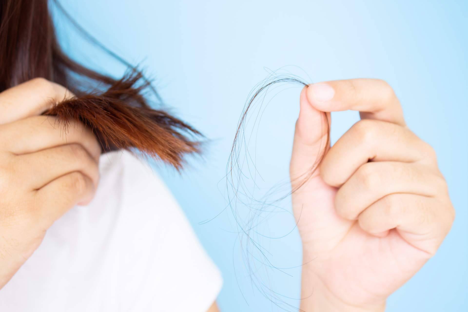 Bibefy sobre las principales causas de la caída del cabello en otoño