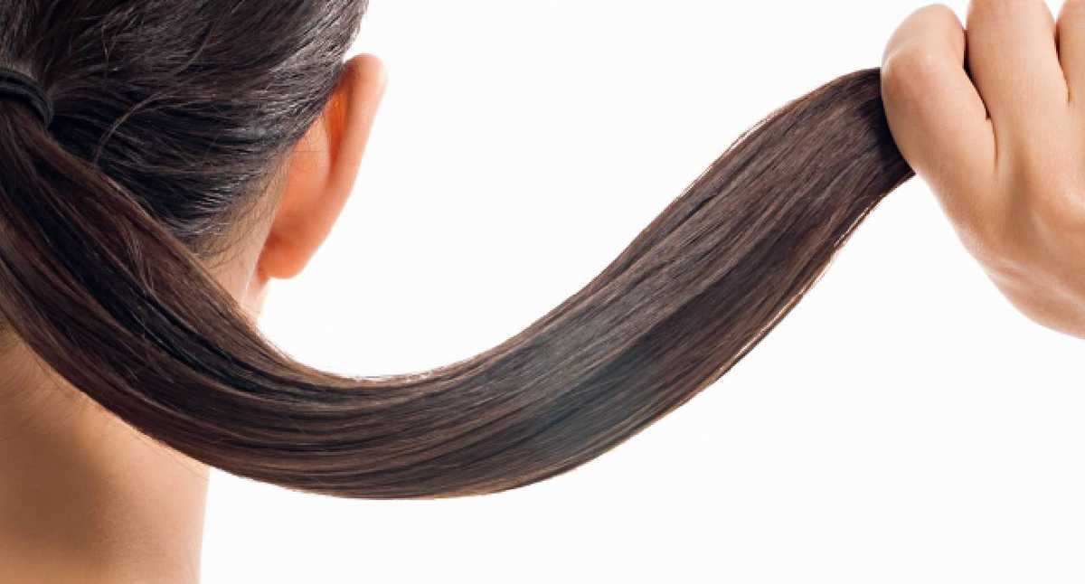 Hierbas naturales que favorecen el crecimiento del cabello.