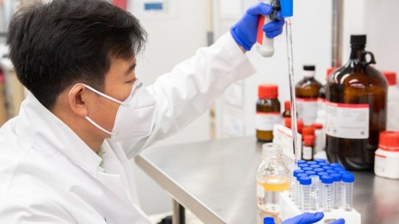 Lanzan alerta por champús cancerígenos;  Estas marcas son las peligrosas