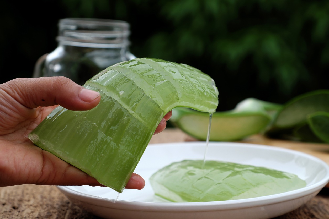 Aloe vera: que tu cabello se quede en tu cabeza y estas recomendaciones
