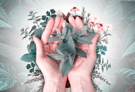 Las personas que buscan remedios naturales encontrarán una opción en la medicina herbal.  (Infobae)